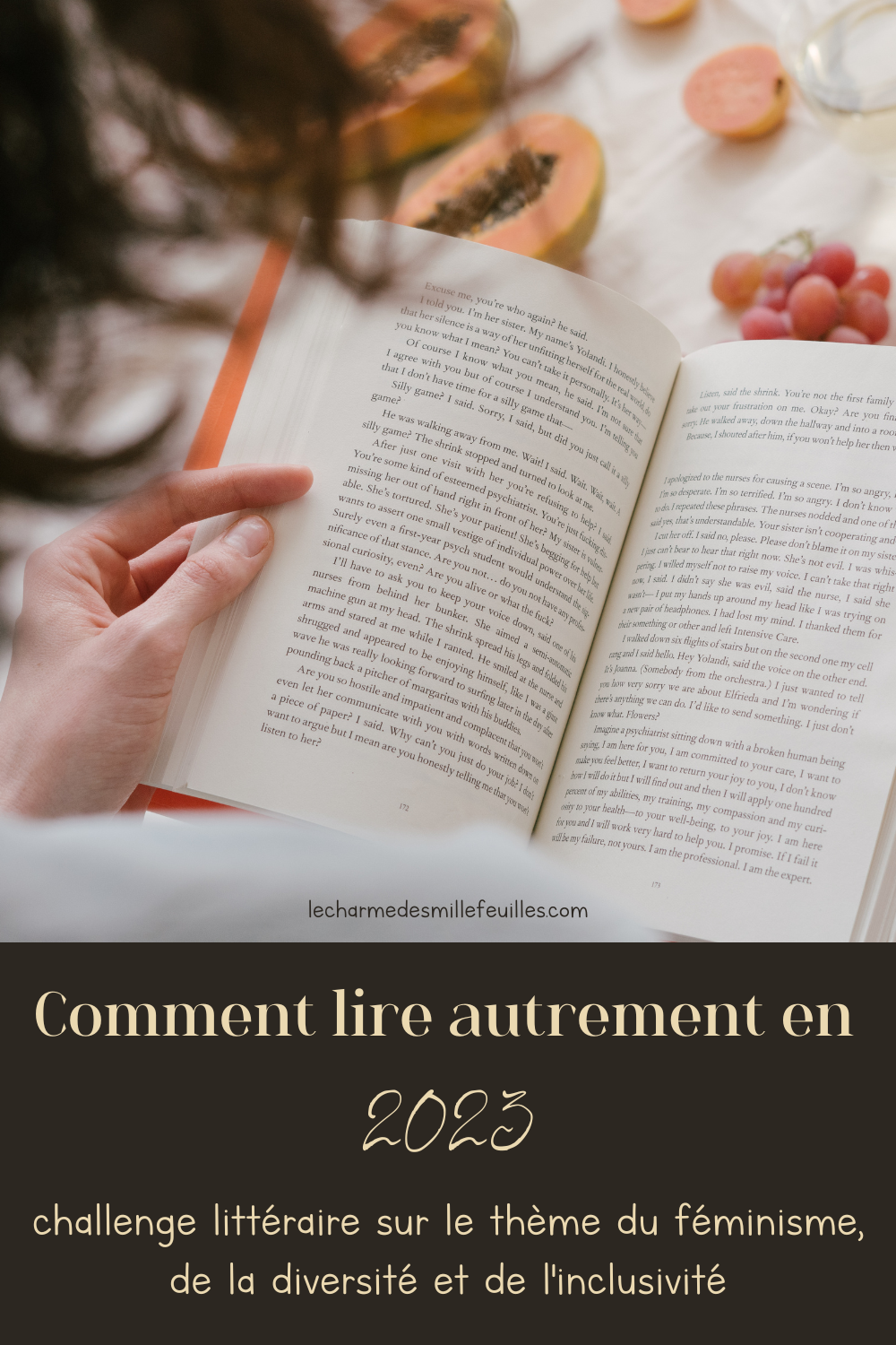 Comment lire autrement en 2023 ?challenge littéraire sur le thème du féminisme, de la diversité et de l'inclusivité