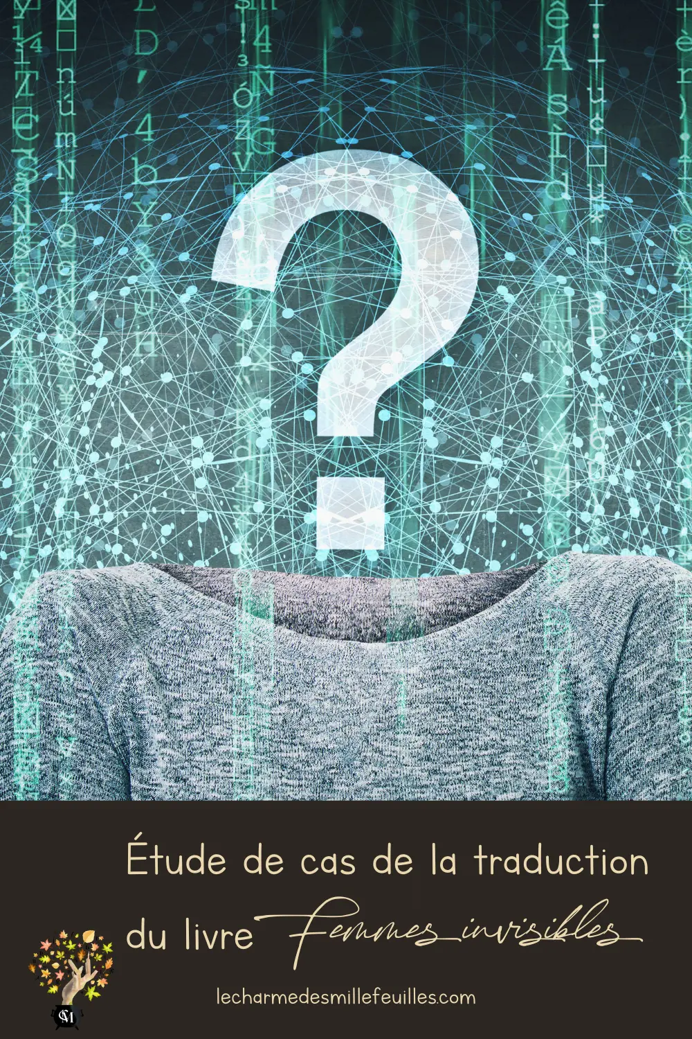 Étude de cas de la traduction du livre femmes invisibles de Caroline Criado Perez