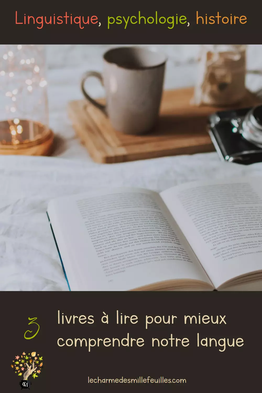 Linguistique, psychologie, histoire, 3 livres pour mieux comprendre notre langue