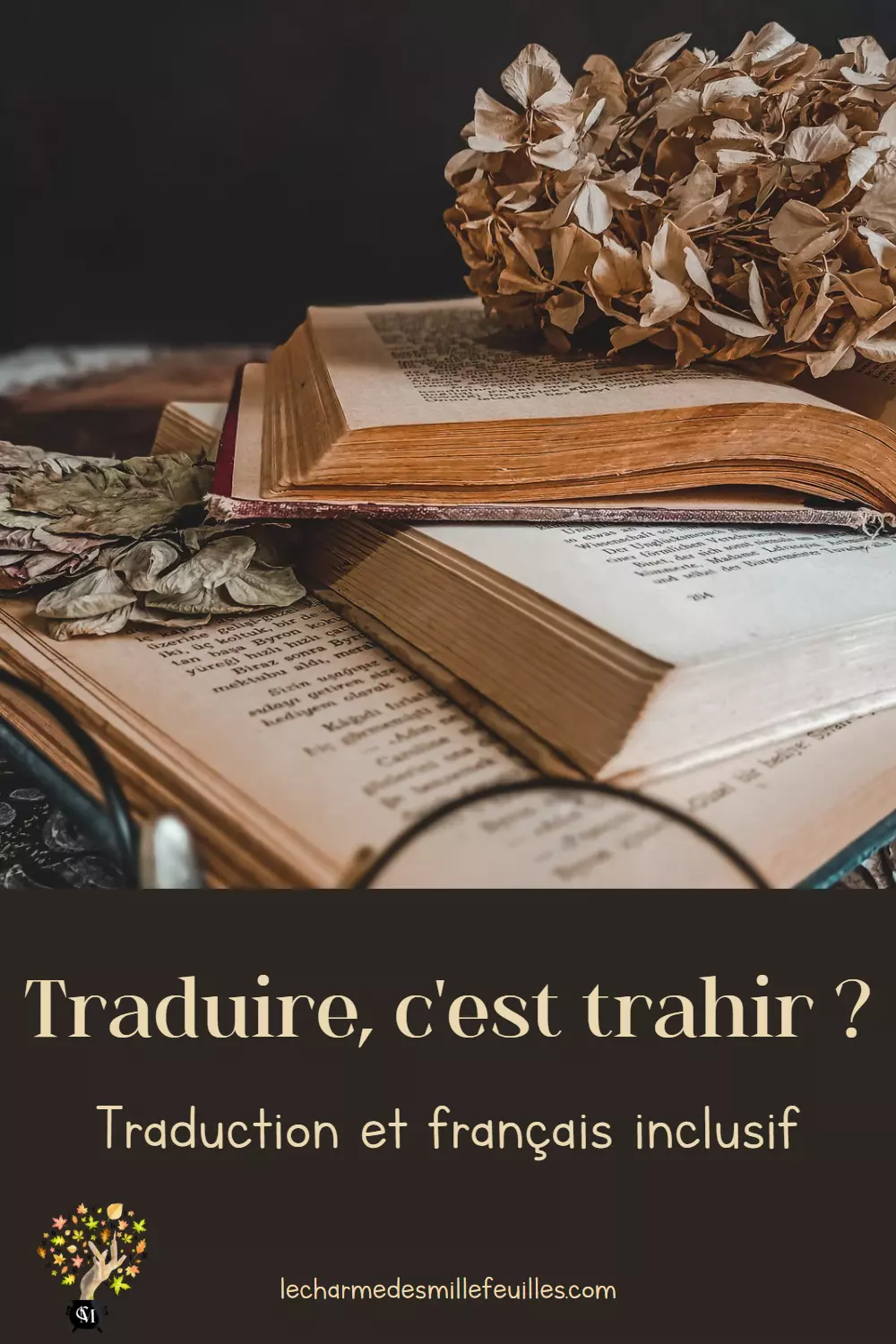 Traduire, c'est trahir ? Traduction et français inclusif